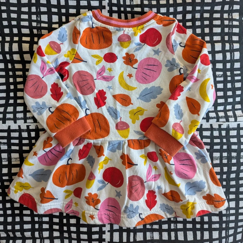 Mini Boden Fall Long Sleeve Dress